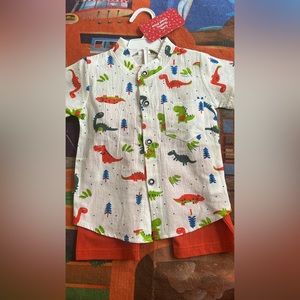 Dinosaur button up  short set . Never worn